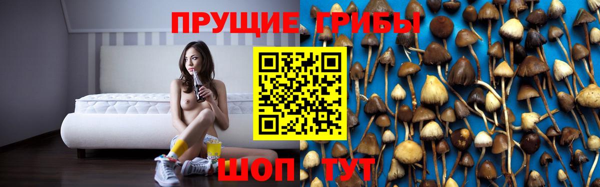 Псилоцибиновые грибы MAGIC MUSHROOMS Кингисепп